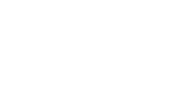 Netsons